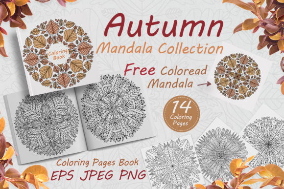 Download Autumn Mandalas Drawn from Leaves - Autumn Collection