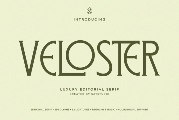 Download Veloster - Premium Bundle